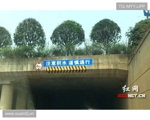 奥胖参加节目提醒车主注意车载蓝牙安全防范突发屏幕大屁股现象 奥胖参加节目提醒车主注意车载蓝牙安全防范突发屏幕大屁股现象